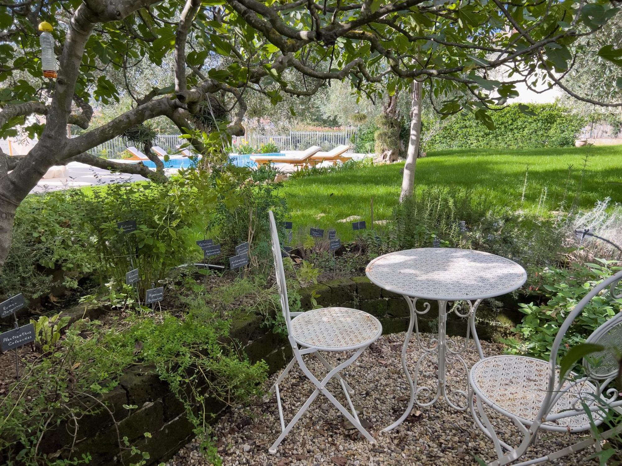Villa La Rodina Diano Marina Eksteriør billede